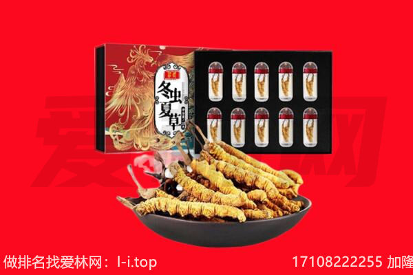 阿里普兰县回收虫草.jpg